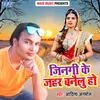 About Jindagi Ke Jahar Banilu Ho Song